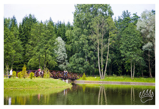 Фото Иван Медведев