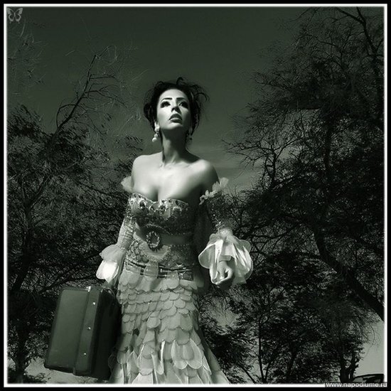 Фото Alexey Vronsky