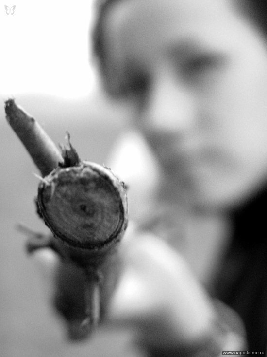 Black White,  Nature,  Brunete