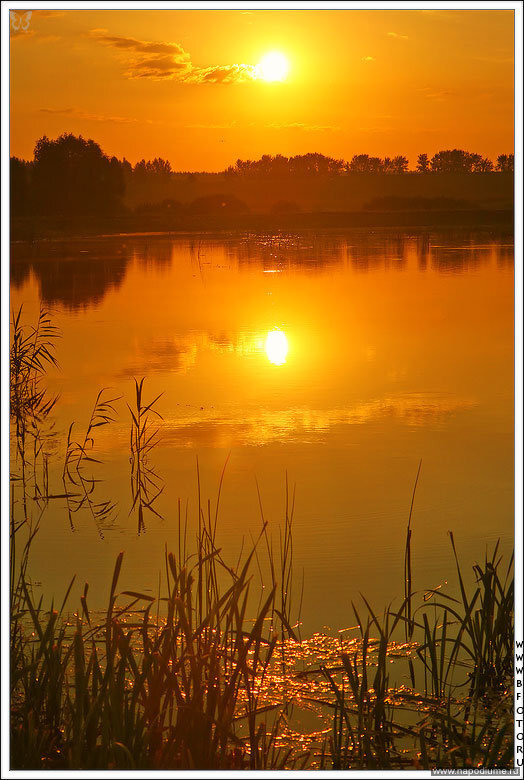 Новые фото http://www.bfoto.ru/new_photo.php