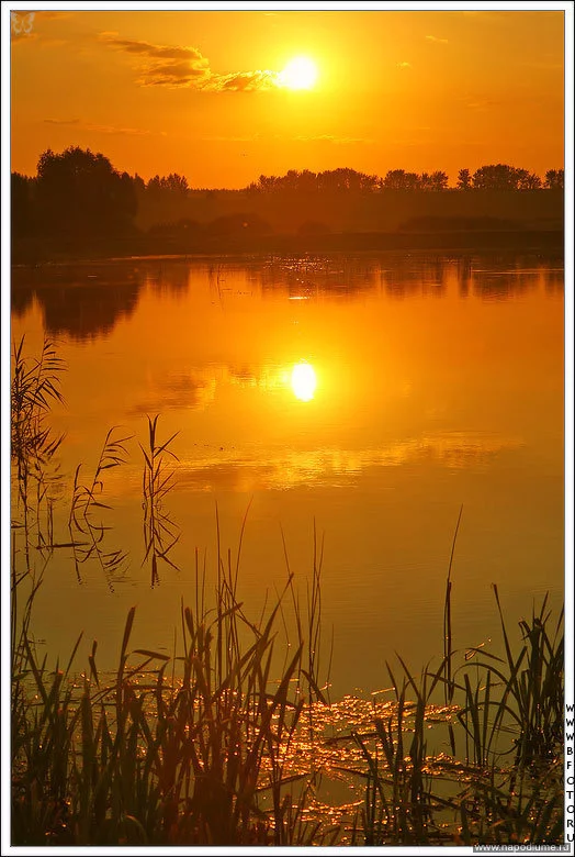 Новые фото http://www.bfoto.ru/new_photo.php