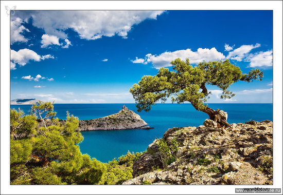 Новые фото http://www.bfoto.ru/new_photo.php