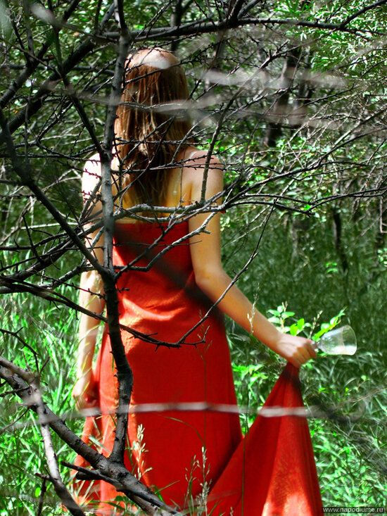Фото Polly Panka