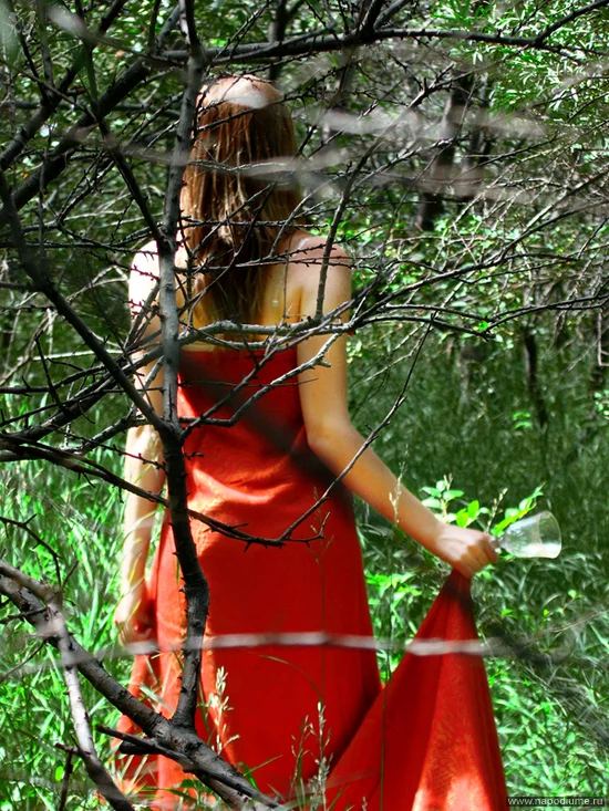 Polly Panka's photo