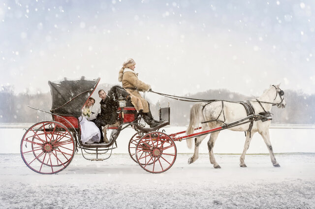 Фото Анастасия Whitefoto Ру
