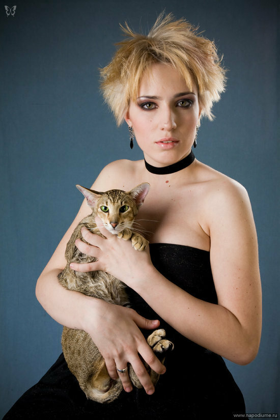 Модель - Евгения Бушуева и ориентальняа кошка