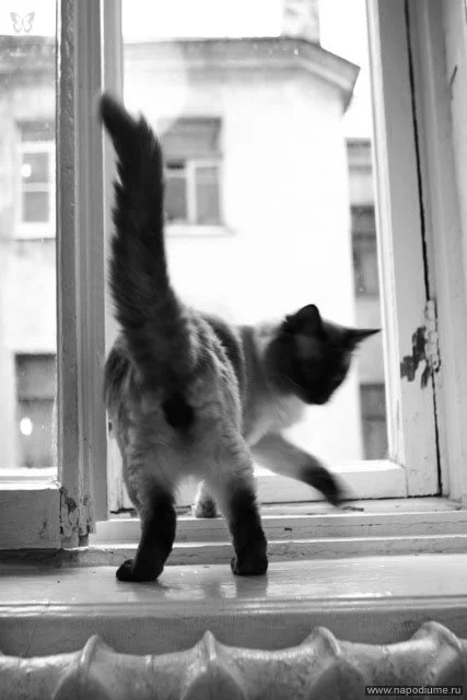 Olga Timkina's photo