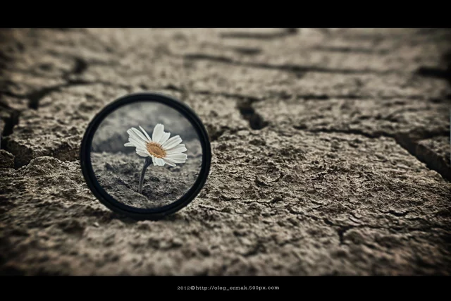 Фото Oleg Ermak