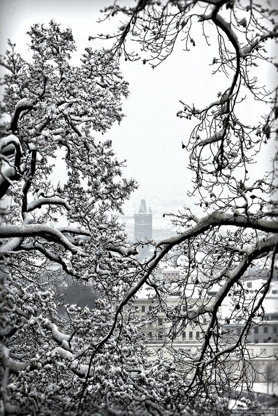 Фото Vladimir Porsh