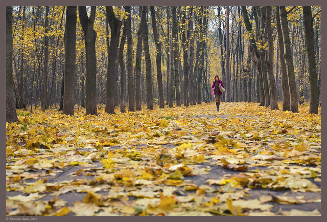 Фото Евгений Брук