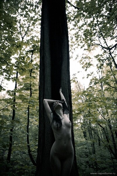 Фото Konstantin Alexandroff