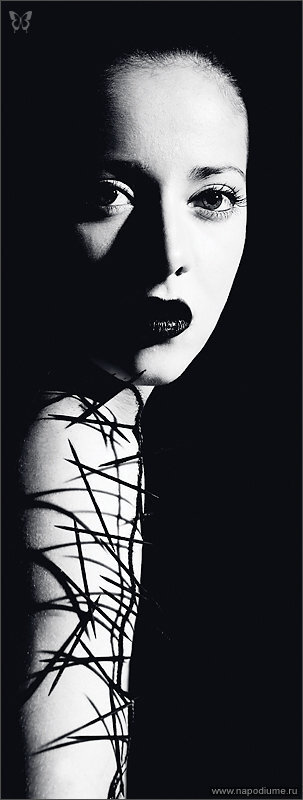 Фото Rina Rea