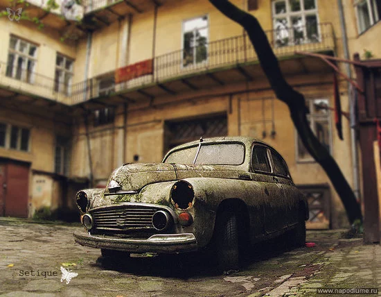 Setique Fricc's photo