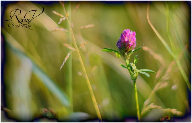 Rodion Bondarenko's photo