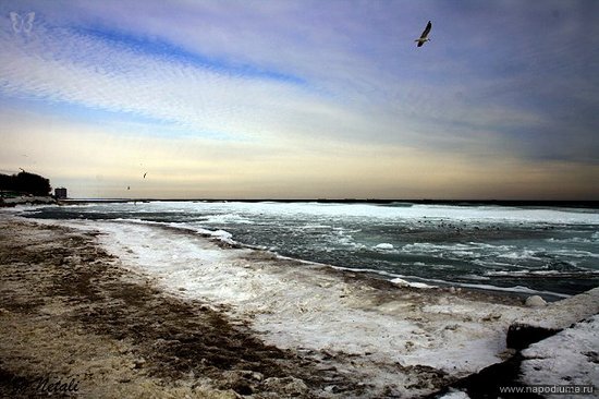 Фото Netali Barnes