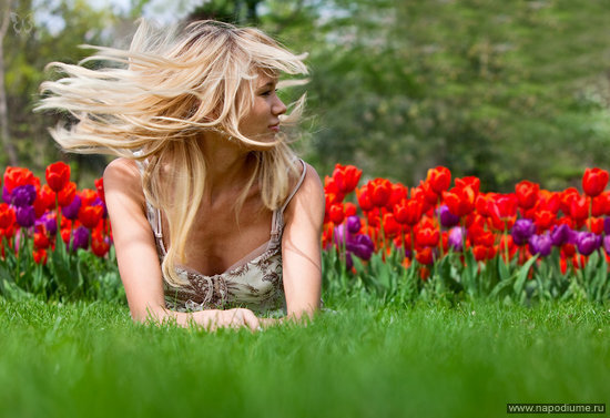 Tulips,  Red,  Flowers,  Spring,  Girl,  Young,  Blond