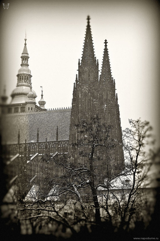 Фото Vladimir Porsh