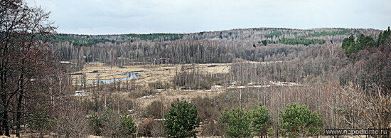 Фото Алексей Латышев