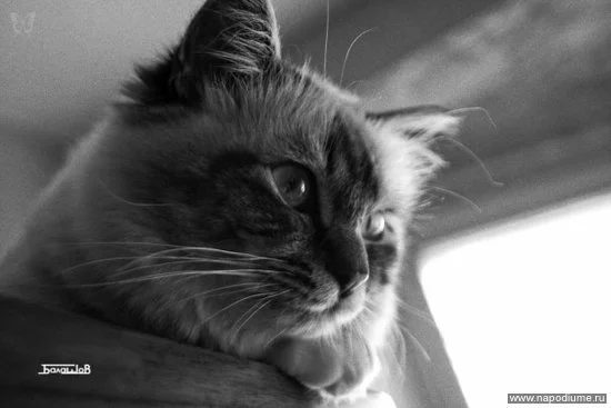 Maks Balasov's photo