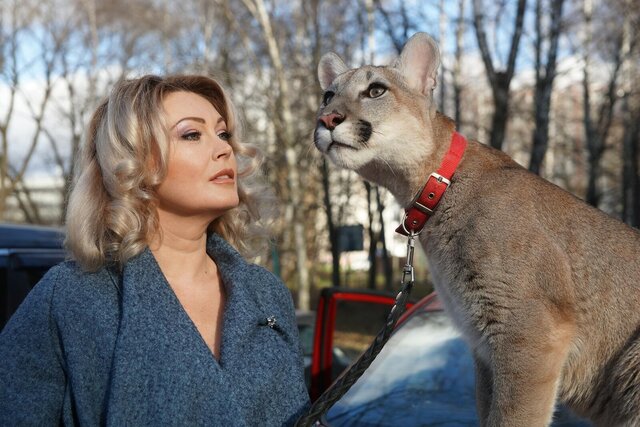 ФОТОСЕССИИ С ПУМОЙ