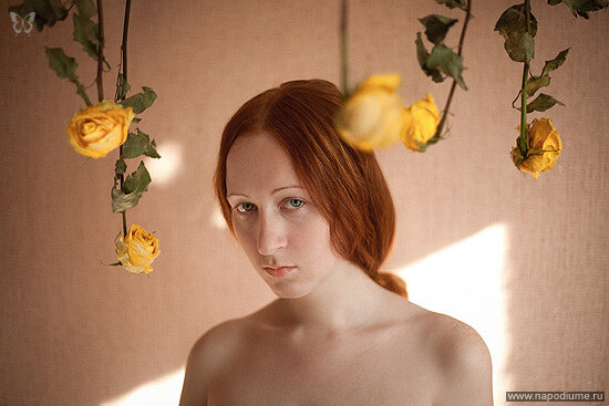 roses