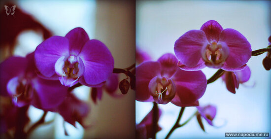 Фото Evgeniya J.Cat? Ippolitova