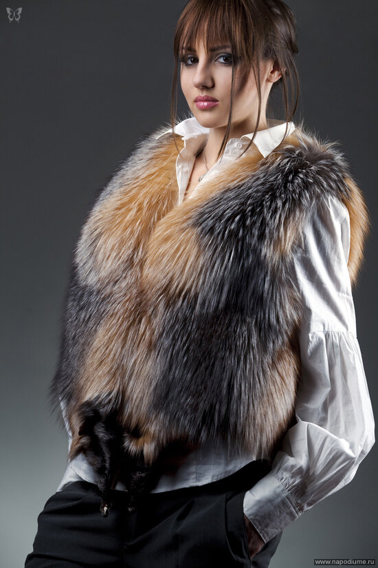 Fashion