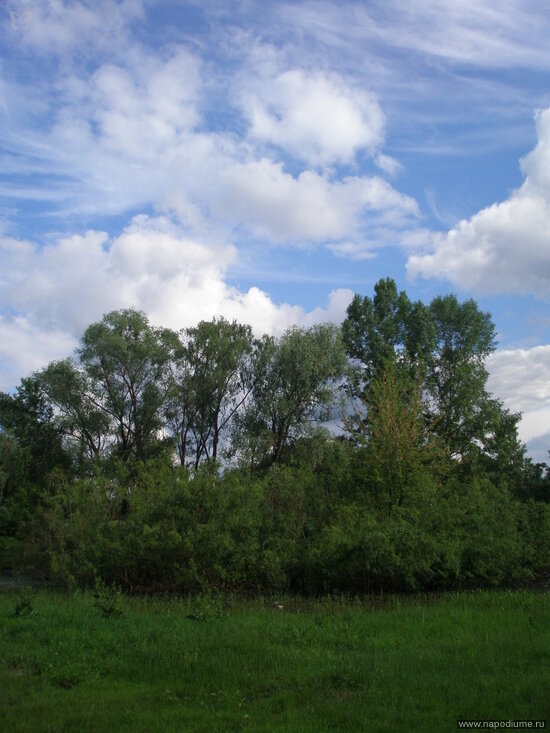 Фото Юлия Liya