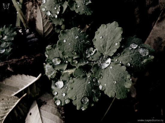 Фото Valeriana Matveeva