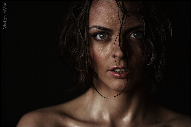 Фото Vlad Shutov