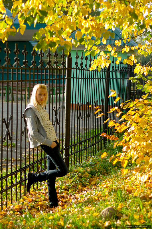Фото Aleksey-Kot