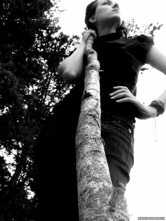 Black White,  Nature,  Brunete