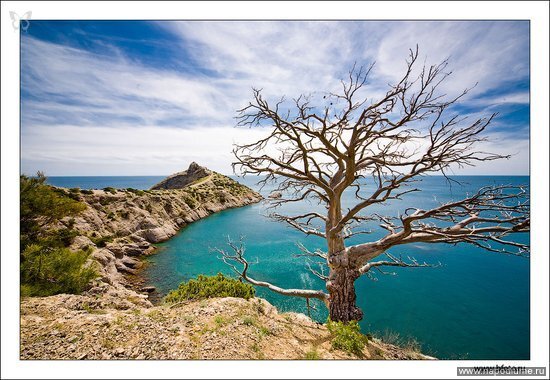 Новые фото http://www.bfoto.ru/new_photo.php
