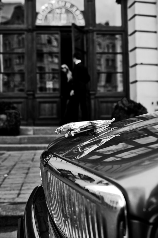 Fashion, People, Glamur, Glam, Jaguar