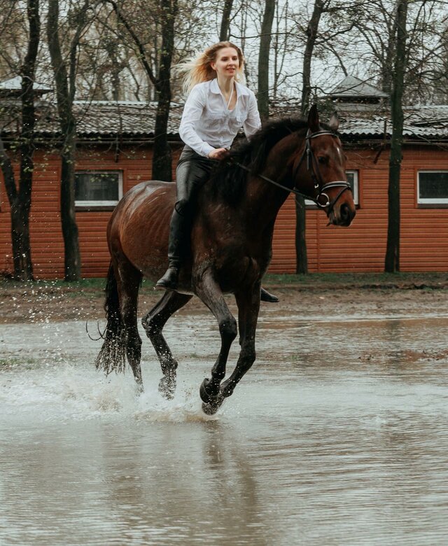 Riding, Horse, на, лошади, модель, с, лошадью, Equestrian, Model, With, Horse