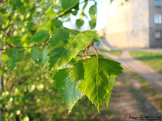 Фото Maria Ferle