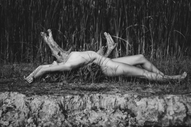 Фото Nik Panisov