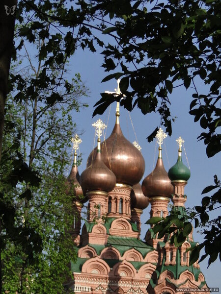 Фото Катерина Супонева