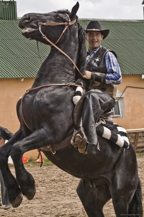 Andrej Saorfoto's photo