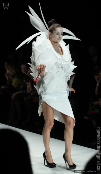 photo #1555099