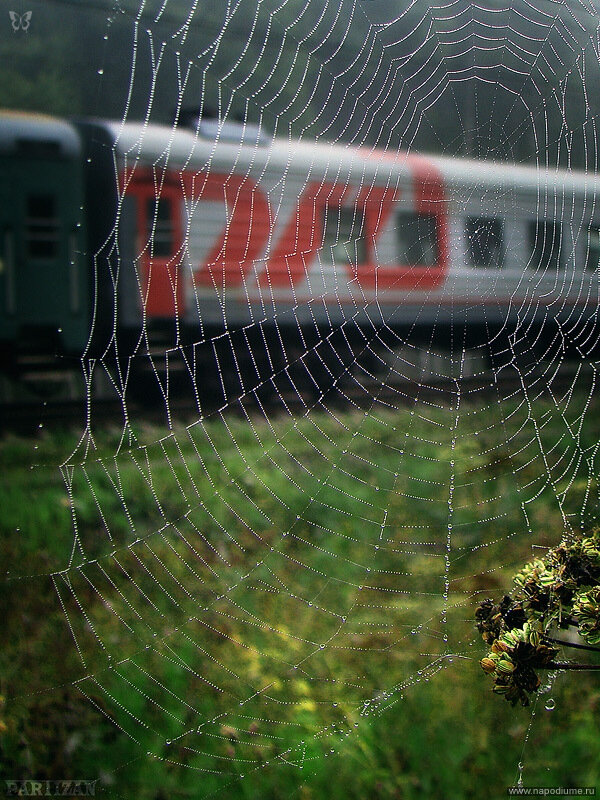 Фото Sasha Partizan