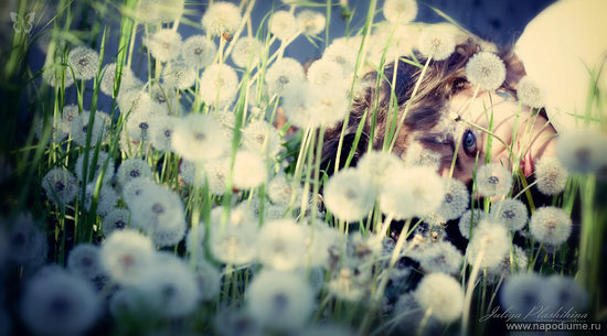 Фото Juliya Plashihina