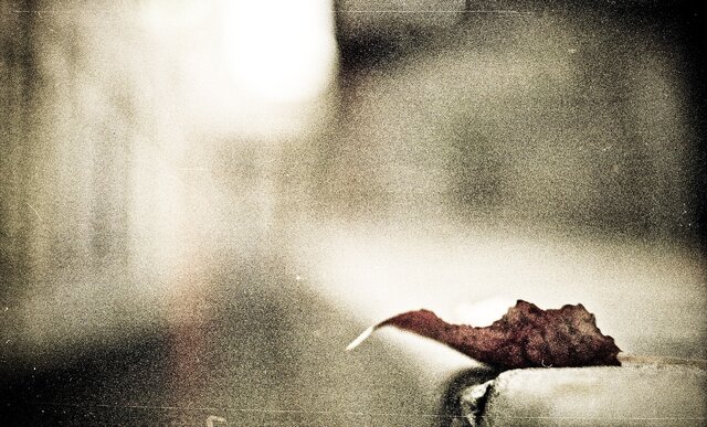 Фото Semper Semper Idem Idem