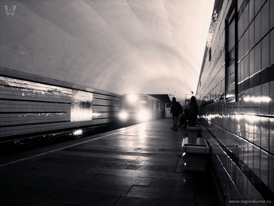 Фото Анна Вахтина