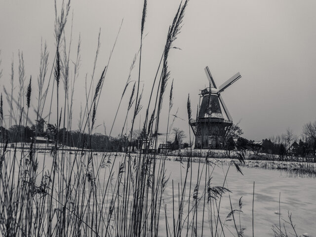 Фото Руслан Shpakovich Шпакович