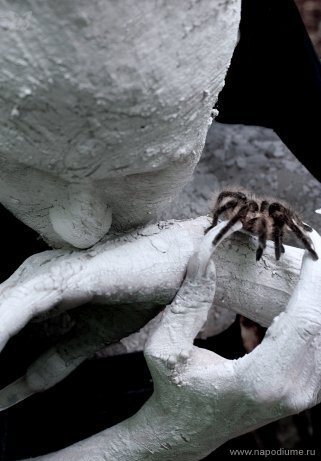 Natalia Zilakova's photo