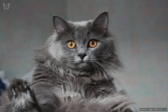 Фото Сергей Иванов