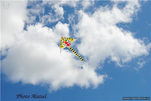 Фото Алена Alatiel Шабанова