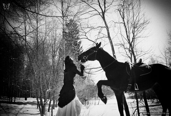 ussia XIX centuries. Horse walk.