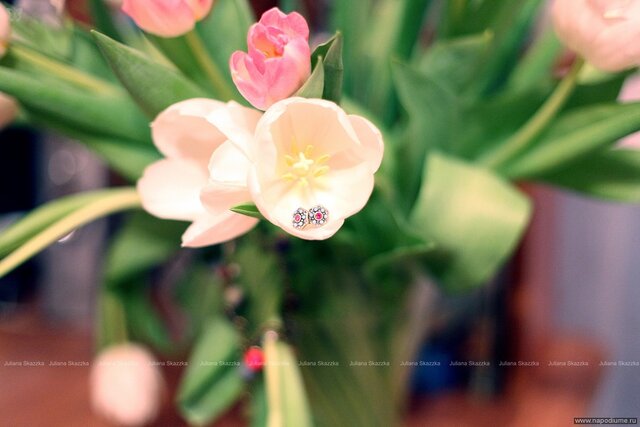 HAPPY SAINT VALENTINE'S DAY